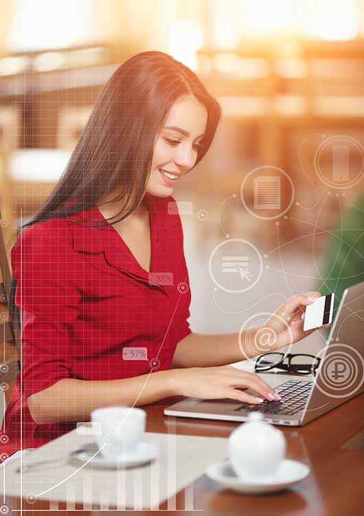 IT Project Business woman shopping online